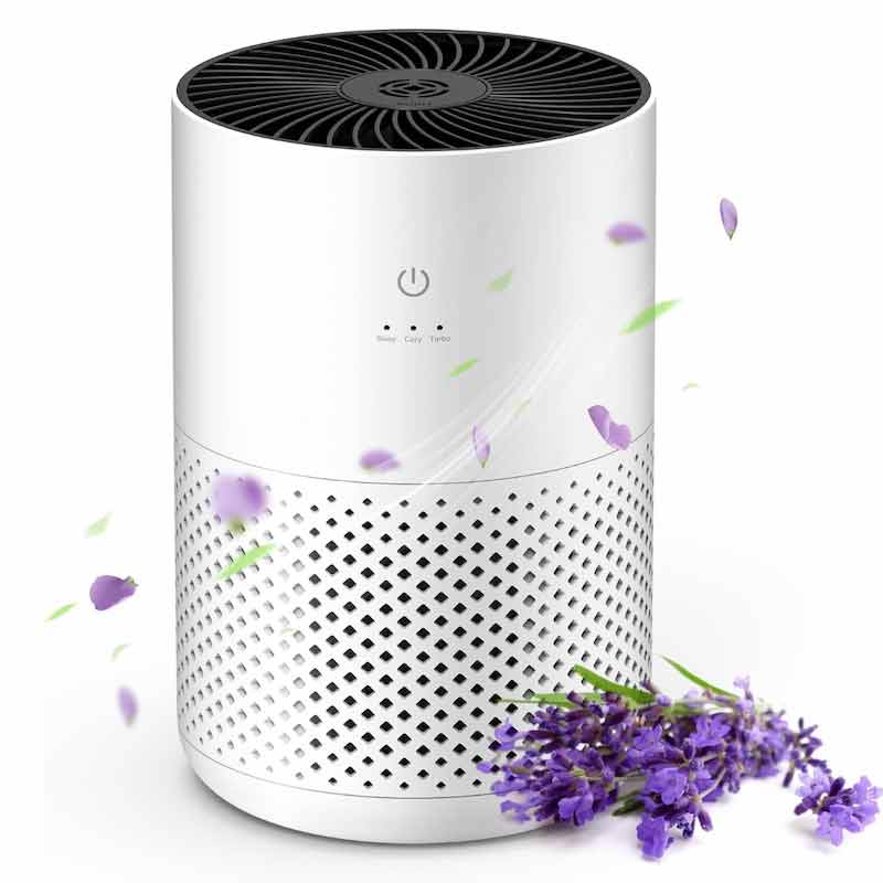 Air Purifier with HEPA Filter 20db Best Air Cleaner with Aromatherapy 
