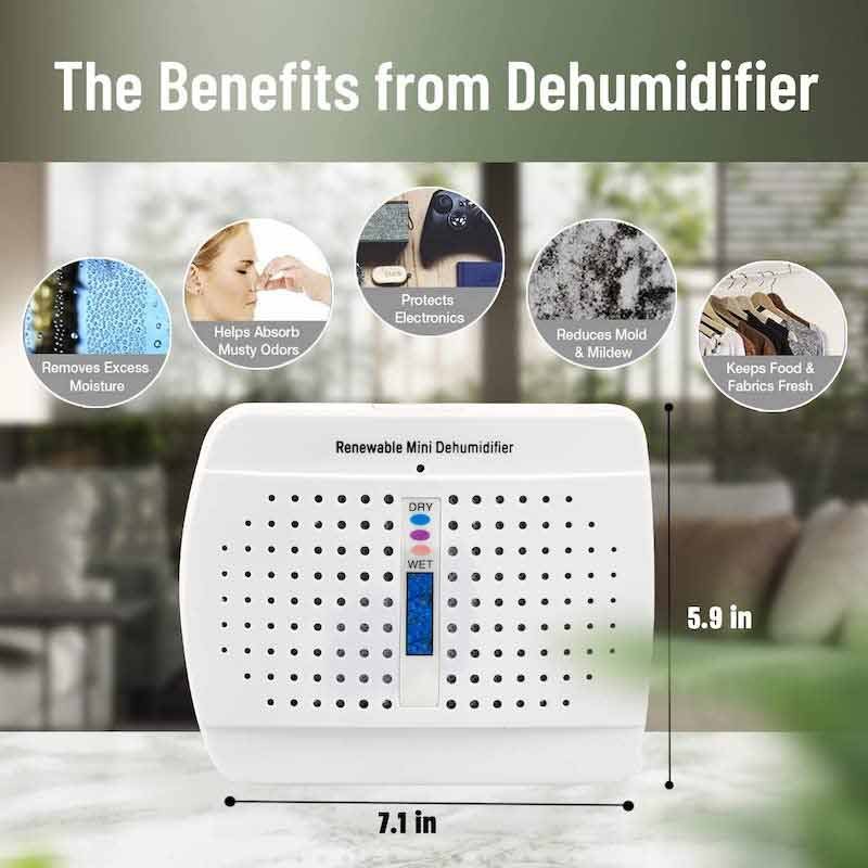 Small Dehumidifier Best Dehumidifier 