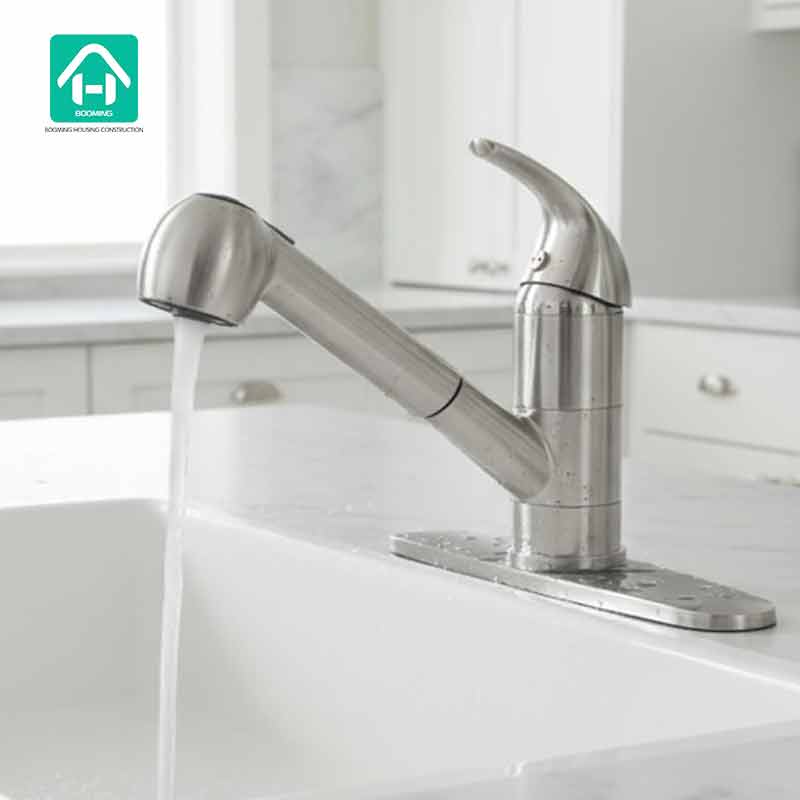 Kitchen Faucet with Pull-out Spray​